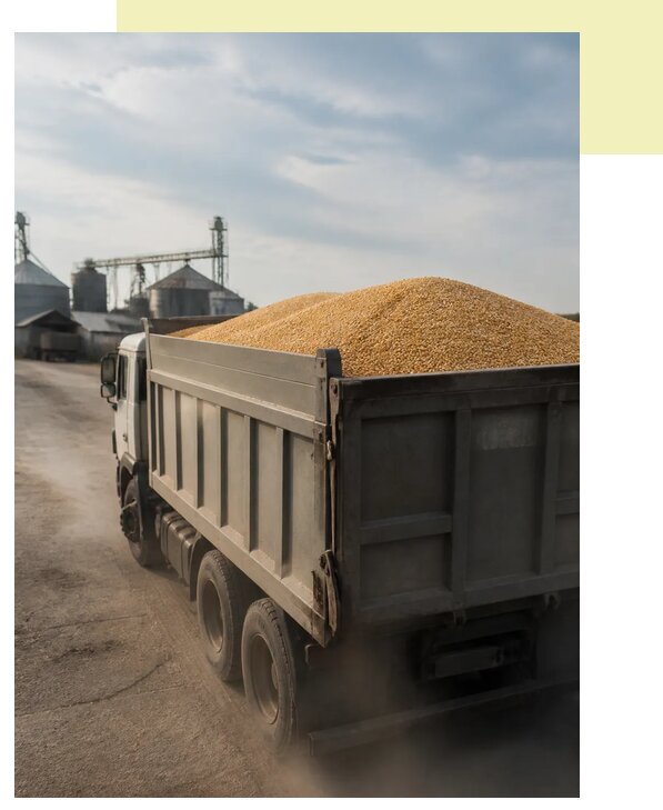 Перевозка сельхозпродукции навалом в Североморск по цене от 3209 р. | Агросервис-Свм